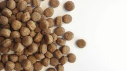 Carocroc Puppy Large Breed 3 KG -Huisdierbenodigdheden 1200x675 7