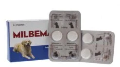 Milbemax Grote Hond 2x2 Tabletten - 1 ST à 2 X 2 TABL -Huisdierbenodigdheden 1200x676