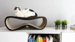 MyKotty LUI - Krabpaal - Zwart - 75cm X 25cm -Huisdierbenodigdheden 1200x678 11