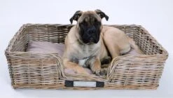 Happy-House Rieten Hondenmand - XL - 90 X 70 Cm Incl Kussen -Huisdierbenodigdheden 1200x678 6