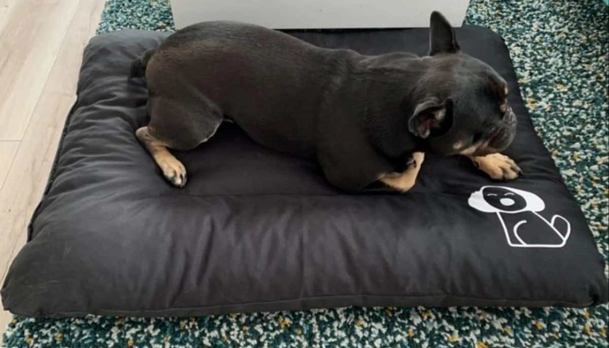 Hondenkussen XL - Donkergrijs - 60 X 90 X 12 8 Hondenkussen XL - Donkergrijs - 60 X 90 X 12 - Afbeelding 8