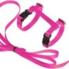 Kattentuigje Met Looplijn Kattenharnas Kittentuigje Kattenriem Met Looplijn Kat Kitten Tuigje Verstelbaar - Roze