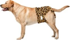 Sharon B Loopsheidbroekje Hond - Luipaard - Maat S - Wasbaar -Huisdierbenodigdheden 1200x693 10