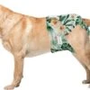 Loopsheidbroekje Hond - Bloemenprint - Maat L - Voor Grotere Teefjes - Herbruikbaar - Hondenbroekje - Hondenluier - Loopsheid - Ongesteldheid - Voorkomt Ongewenste Zwangerschappen Bij Teefjes - Milieuvriendelijk - Verantwoord - Perfecte Pasvorm