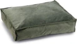 Designed By Lotte Ligkussen Hond Nalino Groen 70 X 55 Cm - Hond