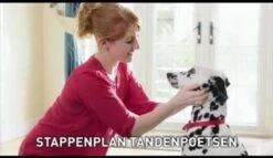 Beaphar Tandenborstel 10 Beaphar Tandenborstel -Huisdierbenodigdheden 1200x697 3