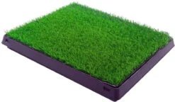 Merkloos Maoo Premium Hondentoilet - Geurbestendig & Hondvriendelijk Kunstgras - Uitneembare Opvangbak - Indoor En Outdoor - 63 X 50 Cm -Huisdierbenodigdheden 1200x698