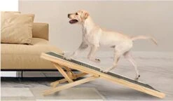 Viervoetjes - Loopplank Voor Honden Hout - Anti Slip - 70 CM -Huisdierbenodigdheden 1200x702 2