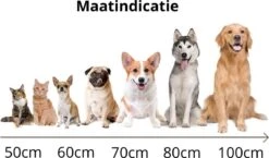 Behave Donut Hondenmand - Hondenkussen - Hondenbed - Kattenmand - Fluffy - Donut - 50cm - Beige 10 Behave Donut Hondenmand - Hondenkussen - Hondenbed - Kattenmand - Fluffy - Donut - 50cm - Beige -Huisdierbenodigdheden 1200x706 3