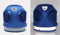 Merkloos Verstelbaar Kattentuigje Reflecterend - Kattenharnas - Kattentuig Met Looplijn - Blauw - Maat S -Huisdierbenodigdheden 1200x708 8