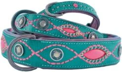 Dwam Halsband Janis Multi-Color - Hondenhalsband - 33-43x2.5 Cm -Huisdierbenodigdheden 1200x716 2