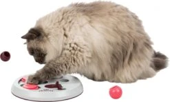 Trixie Cat Activity Flip Board Bes / Roze / Lichtgrijs 23x23 Cm -Huisdierbenodigdheden 1200x721 3