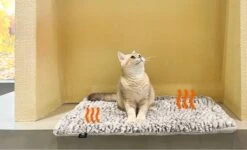 Merkloos Zelfverwarmende Dierendeken Zonder Stroom Thermo Deken Hond Kat Inclusief Adreslabel 70 X 47 Cm 16 Merkloos Zelfverwarmende Dierendeken Zonder Stroom Thermo Deken Hond Kat Inclusief Adreslabel 70 X 47 Cm -Huisdierbenodigdheden 1200x730 1