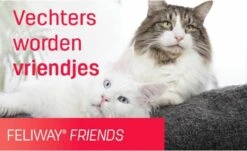 Feliway Friends - Startset - 1 Verdamper Met 1 Vulling - 48 Ml - Anti-conflict Voor Katten -Huisdierbenodigdheden 1200x735 4