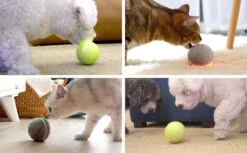 Cheerble Wicked Ball W1| Geel| Zelf Rollende Bal Voor Honden | 3 Automatische Speelmodi | Interactief En Intelligentie Hondenspeelgoed | Hondenspeeltje| USB Oplaadbaar -Huisdierbenodigdheden 1200x741 2