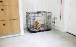 Adori Hondenbench - Zwart - M - 76 X 48 X 54 Cm 16 Adori Hondenbench - Zwart - M - 76 X 48 X 54 Cm -Huisdierbenodigdheden 1200x741 4