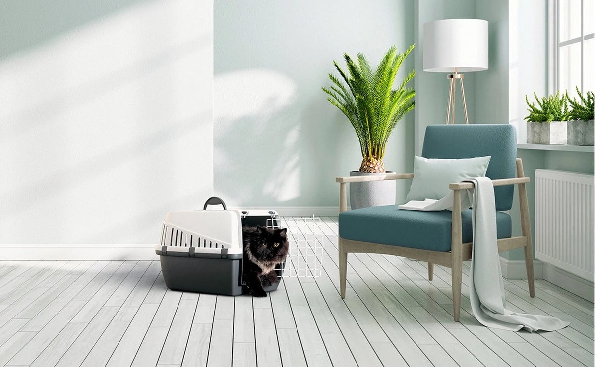 Savic - Benche - Trotter - Antraciet - 46 X 33 X 31 Cm 2 Savic - Benche - Trotter - Antraciet - 46 X 33 X 31 Cm - Afbeelding 2