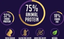 Avalon Petfood + Verse Kip Super Premium - Kattenvoer - 5Kg 6 Avalon Petfood + Verse Kip Super Premium - Kattenvoer - 5Kg -Huisdierbenodigdheden 1200x745 10