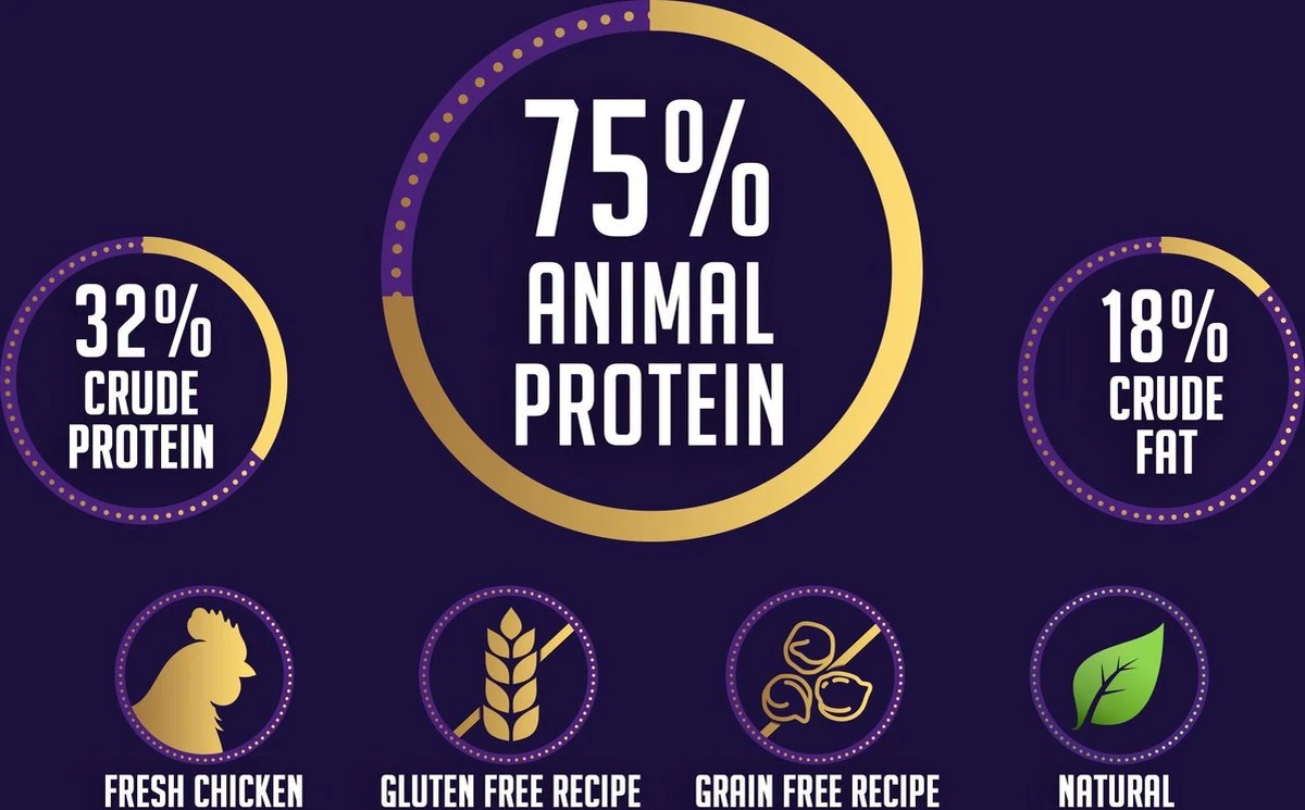 Avalon Petfood + Verse Kip Super Premium - Kattenvoer - 5Kg 3 Avalon Petfood + Verse Kip Super Premium - Kattenvoer - 5Kg - Afbeelding 3