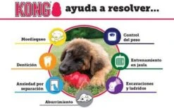 Kong Kauwbot - Hondenspeelgoed - Rood - S -Huisdierbenodigdheden 1200x745 6