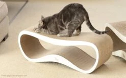 MyKotty LUI - Krabpaal - Wit - 75 X 25 Cm -Huisdierbenodigdheden 1200x746 11