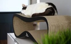 MyKotty LUI - Krabpaal - Zwart - 75cm X 25cm -Huisdierbenodigdheden 1200x746 12