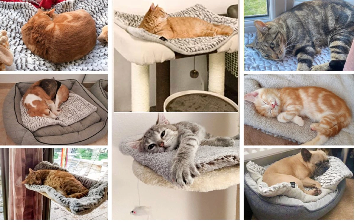 Merkloos Zelfverwarmende Dierendeken Zonder Stroom Thermo Deken Hond Kat Inclusief Adreslabel 70 X 47 Cm 5 Merkloos Zelfverwarmende Dierendeken Zonder Stroom Thermo Deken Hond Kat Inclusief Adreslabel 70 X 47 Cm - Afbeelding 5