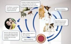 Beaphar Milquestra Ontworming Tabletten Kat 2 - 12 Kg 4 Tabletten 14 Beaphar Milquestra Ontworming Tabletten Kat 2 - 12 Kg 4 Tabletten -Huisdierbenodigdheden 1200x751 9