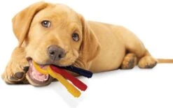 Nylabone Kauwbot - Puppy Kauwspeelgoed - Sleutels Met Baconsmaak - X-Small -Huisdierbenodigdheden 1200x752 3