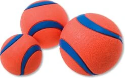Chuckit! Chuckit Ultra Ball - XXL - 11 Cm -Huisdierbenodigdheden 1200x753 3