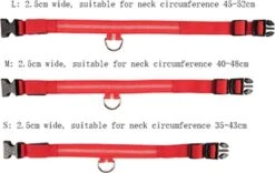 IGOODS Oranje LED Hondenhalsband - Verlichte Halsband Voor Honden - LED Hondenriem - Halsband LED -Huisdierbenodigdheden 1200x760 2