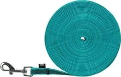 Trixie Hondenriem Sleeplijn Met Rubber Turquoise -Huisdierbenodigdheden 1200x762 1