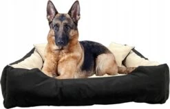 Ecco - Honden- En Kattenbed Met Kussen | Binnenmaat: 130x100 / Buitenmaat: 145x115cm - Beige / Zwart -Huisdierbenodigdheden 1200x772 2