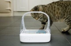 Surefeed Microchip Pet Feeder - Voerbak - 30 X 23 X 22 Cm -Huisdierbenodigdheden 1200x780 10
