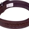 Luxe Halsband Voor Honden - Gevlochten - Echt Leer / Leder - Maat XXS - 39x2 Cm - Bruin