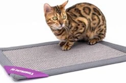 Petrebels Mastermat 60 Katten Krabmat - Grijs - 60 X 40 Cm - Zeer Sterk 21 Petrebels Mastermat 60 Katten Krabmat - Grijs - 60 X 40 Cm - Zeer Sterk -Huisdierbenodigdheden 1200x788 11