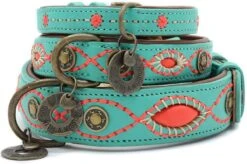 Dwam Halsband Janis Multi-Color - Hondenhalsband - 33-43x2.5 Cm -Huisdierbenodigdheden 1200x795 3