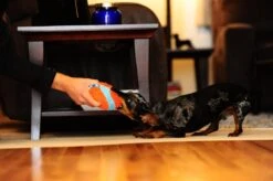 Chuckit! Chuckit Indoor Ball -Huisdierbenodigdheden 1200x798 23