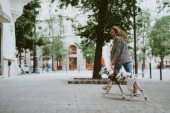 Julius K9 Julius-K9 IDC®Powertuig, M - Maat 0, Camouflage -Huisdierbenodigdheden 1200x799 16