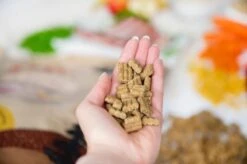 Kivo Petfood PROEFZAKJE Hondenbrokken Lam & Rijst 300 Gram - Koudgeperst - Glutenvrij -Huisdierbenodigdheden 1200x799 17