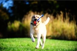 Chuckit! Chuckit Ultra Tug – Hondenspeelgoed - Blauw/Oranje – Large - ø 7 Cm -Huisdierbenodigdheden 1200x799 28