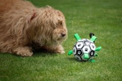Honden Speelgoed Bal Voetbal Extra Sterk Met Handvaten Ball Hondenbal - 15 Cm - Dutchwide -Huisdierbenodigdheden 1200x799 39