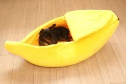 N/A Kattenhuis Banaan L - Hondenhuis Banaan L - 65x25x18 Cm - Kattenmand - Hondenmand - Dierenmand - Cadeau Kat 8 N/A Kattenhuis Banaan L - Hondenhuis Banaan L - 65x25x18 Cm - Kattenmand - Hondenmand - Dierenmand - Cadeau Kat -Huisdierbenodigdheden 1200x799 48