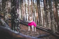 Rukka Pets Hase Raincoat - Lichtgewicht Hondenregenjas - In 2 Kleuren En 9 Maten - Kleur: Roze, Maat: Maat 40 -Huisdierbenodigdheden 1200x799 50