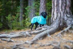 Rukka Pets Hase Raincoat - Lichtgewicht Hondenregenjas - In 2 Kleuren En 9 Maten - Kleur: Roze, Maat: Maat 40 -Huisdierbenodigdheden 1200x799 52