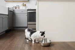 PetSafe® Seaside Stainless Steel Pet Fountain - RVS Drinkfontein Voor Katten En Kleine Honden - Water Borrelt Zacht Over De Toren - Door Het Design Van Alle Kanten Bereikbaar - 1,8 Liter - PetSafe Seaside -Huisdierbenodigdheden 1200x799 93