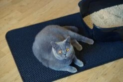 Merkloos Tastelio XXL Kattenbakmat 75x55cm - Groot Kattenbak Mat Met Innovatieve Honingraatstructuur - Dubbele Waterdichte Laag - Katten Bak Mat Met Eenvoudige Reiniging Grit Opvanger -Huisdierbenodigdheden 1200x799 98
