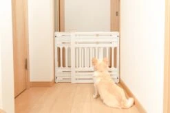 Iris Ohyama Huisdier Bariere PBR-600 - Kunststof - Wit/Beige - Uitschuifbaar 11 Iris Ohyama Huisdier Bariere PBR-600 - Kunststof - Wit/Beige - Uitschuifbaar -Huisdierbenodigdheden 1200x800 101