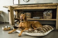 Designed By Lotte Mandira - Hondenvoerbak - Hout - 16,5 Cm -Huisdierbenodigdheden 1200x800 107