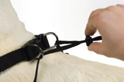 Beeztees Gentle Walker - Hondentuig - Zwart - L -Huisdierbenodigdheden 1200x800 117